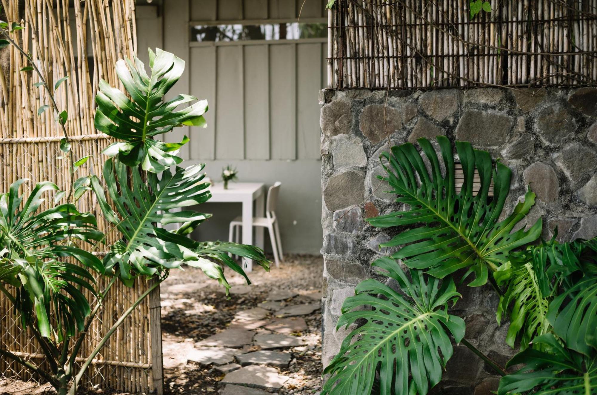 Anzan Atitlan Bed & Breakfast San Marcos La Laguna Ngoại thất bức ảnh